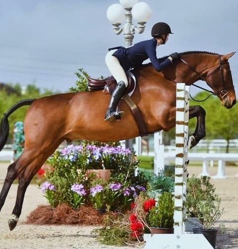 Mia Kertson, assistant trainer at Westridge Farms